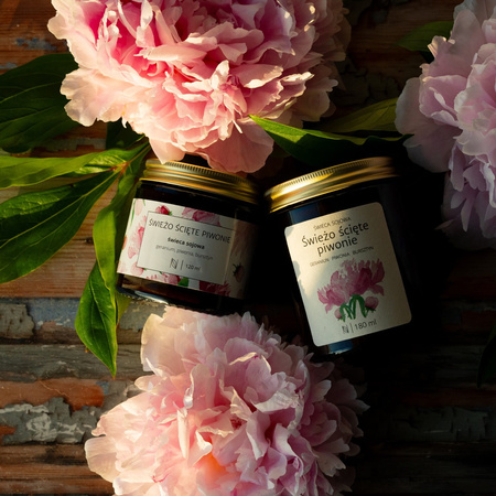 Świeżo ścięte piwonie - świeca sojowa