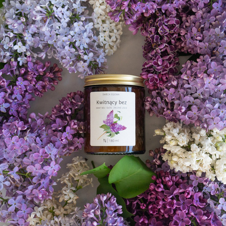Kwitnący bez - świeca sojowa